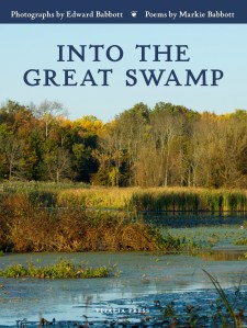 Cover of Into the Great Swamp
